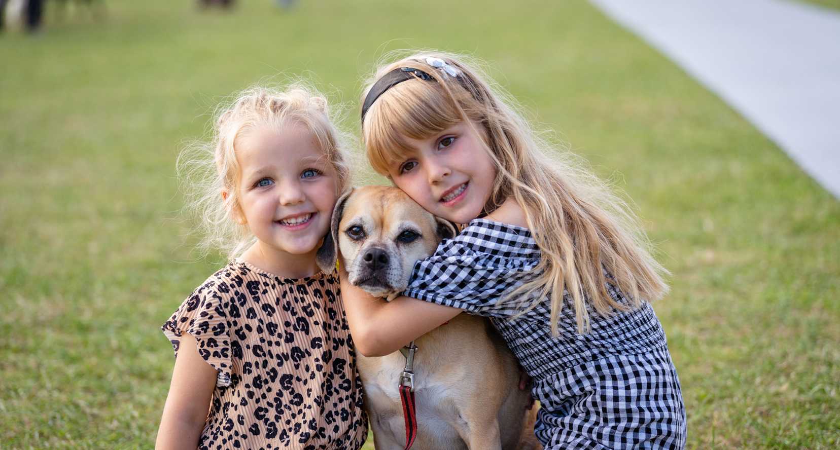 Mowgli Dog Show photo